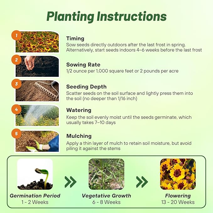 Outsidepride Plains Coreopsis Seeds - 5000 Pcs. Annual, Drought & Humidity Tolerant, Flower Seeds for Planting Vibrant Bicolored Blooms, Ideal for Xeriscaping and Low Maintenance Gardens (Pack of 2)