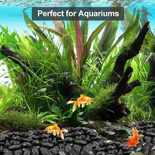 20Ib Black River Rocks for Landscaping-Polished Pebbles for Plants-Garden Decorative Stones-1-2 Large Plant Rocks,Ideal for Aquarium, Home Decor