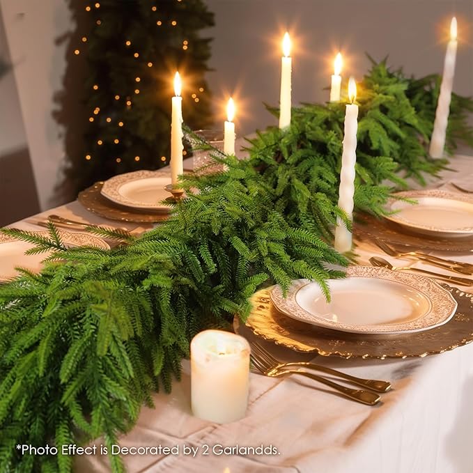 WBHome 9ft Real Touch Norfolk Pine Christmas Garland, Winter Greenery Garland for Christmas, Holiday Seasonal Outdoor/Indoor Home Decor, 9FT Long