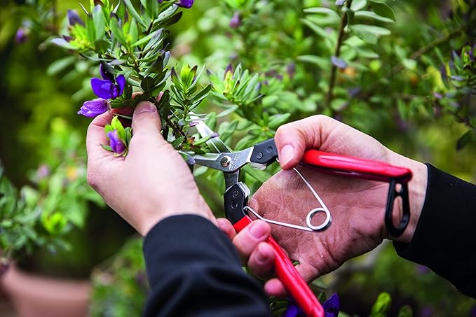 Felco F322 Pruning Snips – 9.84" Swiss-Made Garden Clippers with Curved Blade & Rounded Tip | Pruning Shears for Gardening | Garden Snips and Pruners with Carbon Steel Blade, Sap Groove