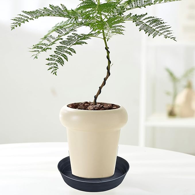 Plant Saucer 16 Inch 2 Pack 10 12 14 16 18 20 25, Plastic Plant Trays for Pots，Extra-Deep Plant Water Dray Tray, Bird Bath Bowl, Heavy Flower Plant Saucers Indoors and Outdoor No Holes