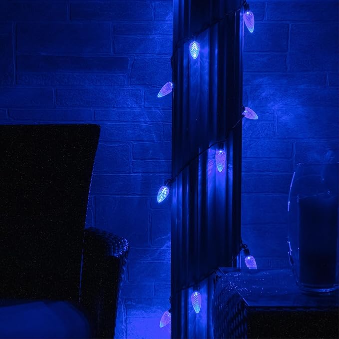 Wintergreen Lighting C9 Blue Christmas Lights, 17 ft LED Outdoor String Light Set, 25 Bulbs – Indoor/Outdoor Holiday Decor