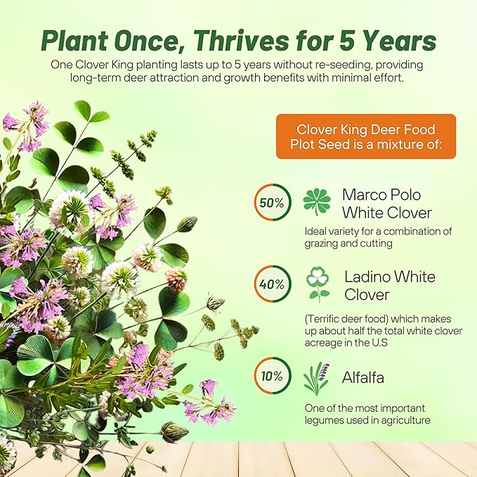 Outsidepride Perennial Clover King Seed Mix - 20 lbs Nitrocoated, Inoculated, Heat & Cold Tolerant, Alfalfa-Enhanced Food Plot Seeds for Deer & Wildlife, Ideal for Spring, Summer, & Winter Plots