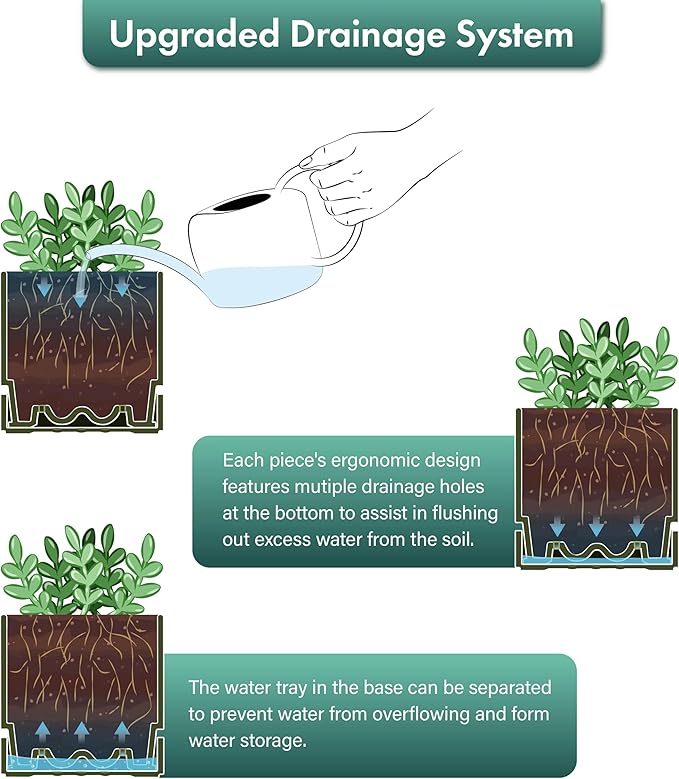 Phoenix Vine 6 Inch Planter Pot with Drainage Hole & Saucer, Deep Water Catch Tray, Straight Cylindrical Round Pot for Plants, Olive, Pack of 2, 23-F-S-2