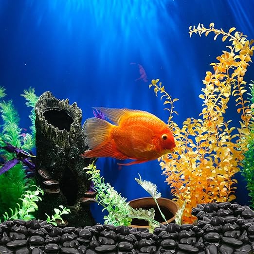 10Ib Black River Rocks for Landscaping-Polished Pebbles for Plants-Garden Decorative Stones-1-2" Large Plant Rocks,Ideal for Aquarium, Home Decor