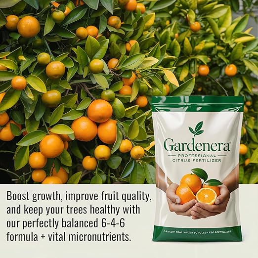 𝐁𝐄𝐒𝐓𝐒𝐄𝐋𝐋𝐄𝐑 Citrus Fertilizer + Vital Micronutrients - Perfect Balanced NPK for All Citrus - for Indoor and Outdoor Plants - Orange, Lime, Avocado and Lemon Tree Fertilizer - 4 QUARTS