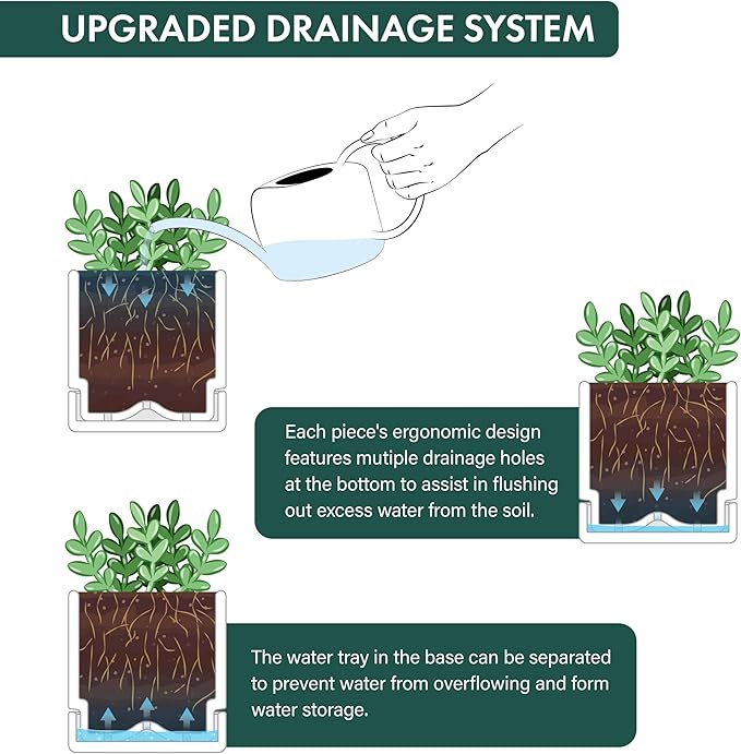 D'vine Dev 4 Inch Herb Planter Pot, Plastic Planter with Drainage Holes and Saucer, Modern Decorative Gardening Pot for Indoor Plants, Flowers, Herbs, Succulents, Clear, Set of 3, 76-Y-D-3