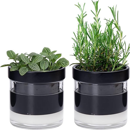 Phoenix Vine 4 Inch Self Watering Planter Pot, Black Terracotta Clay Pot with Glass Reservoir for Indoor Plants, Herbs, Flowers, Set of 2, 52-C-E-2