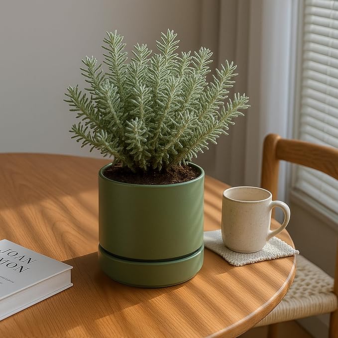 Phoenix Vine 6 Inch Planter Pot with Drainage Hole & Saucer, Deep Water Catch Tray, Straight Cylindrical Round Pot for Plants, Olive, Pack of 3, 23-F-S-3