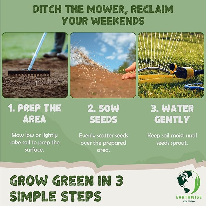 Thyme for a Change – Wild Creeping Thyme Seeds – 1/2 oz Covers 250 sq ft (~8,000 Seeds) – Drought-Tolerant Ground Cover & Pollinator-Friendly Lawn Alternative