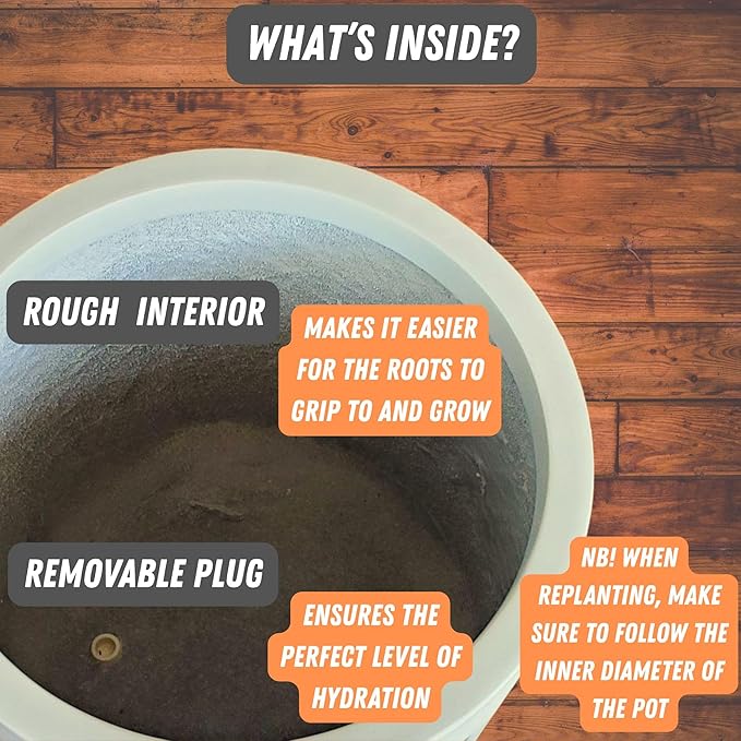 Fox & Fern 8 Inch Plant Pot with Drainage Plug — Premium Lightweight Fiberstone Glossy White Planter; Indoor & Outdoor Planter; 8 Inch Pots for Plants; Weather Resistant & UV Resistant