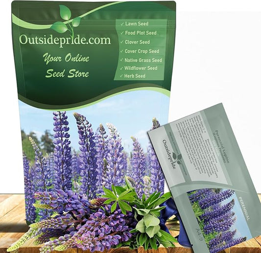 Outsidepride Wild Blue Perennial Lupine Seeds - 500 Pcs. Self-Sowing, Cold Hardy & Frost Tolerant Wildflower Seeds for Fall Planting, Ideal for Attracting Pollinators & Hummingbirds