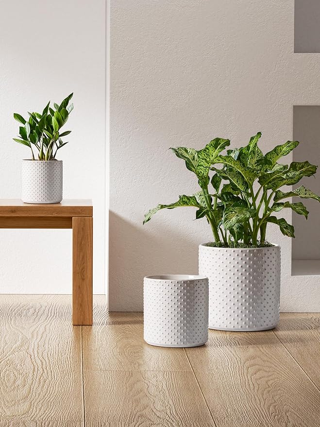 LE TAUCI Ceramic Plant Pots Indoor, 10+8+6 Inch Planters for Indoor Plants, Raised Dots Flower Pots with Drainage Hole and Plug, Cylinder Round Planters, Set of 3, Glaze Arctic White