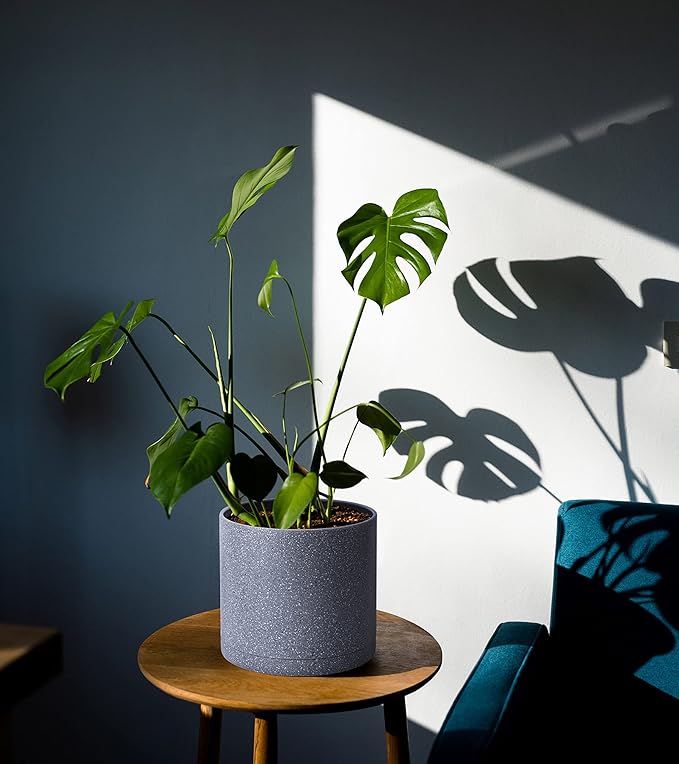 D'vine Dev 8 Inch Plastic Planter Pots for Plant Pot with Drainage Hole and Seamless Saucers, Speckled Gray Color, 74-X-G-1