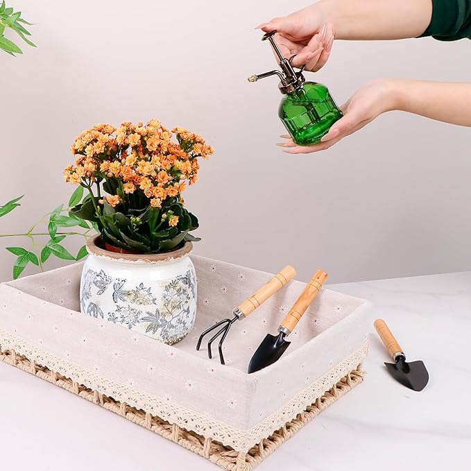 Vintage Ceramic Ice Crack Flower Pot with Drainage Holes, Country Rustic Planters for Indoor and Outdoor,Tuscan Decor,Home,Living Room, Garden Decor, Gardening Gift (Farmhouse)