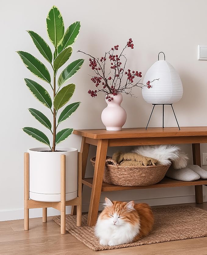 D'vine Dev Ceramic Planter with Natural Stand - 10 Inch Modern Round Flower Pot with Wood Planter Holder, Oatmeal, 55-B-K-8