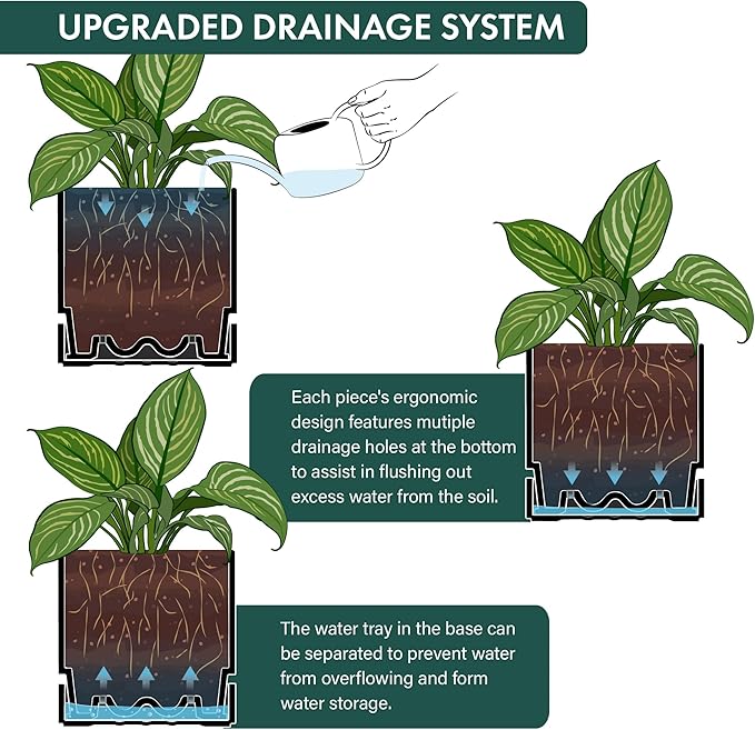 Phoenix Vine 8 Inch Planter Pot with Drainage Hole & Saucer, Deep Water Catch Tray, Straight Cylindrical Round Pot for Plants, Matte Black, Pack of 1, 23-C-T-1