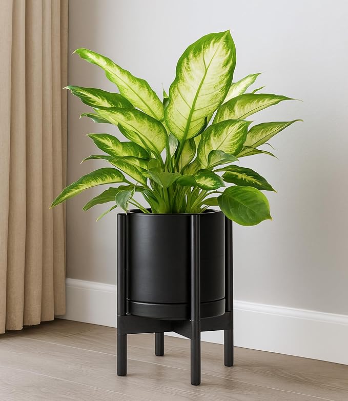 D'vine Dev Ceramic Planter with Ebony Stand - 10 Inch Modern Round Flower Pot with Wood Planter Holder, Black, 55-B-L-2