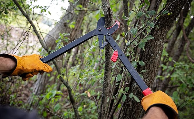EZ Kut BranchCutter Anvil Loppers. Ratcheting Tree Cutter - Sub Compact Lightweight Packable Loppers best Tree Branch Cutter - Yard Tools Since 1988
