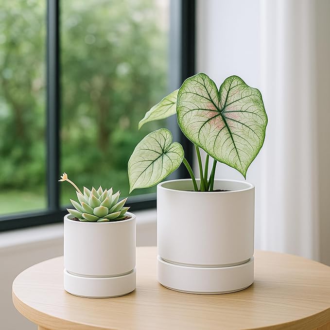 Phoenix Vine 4 Inch and 6 Inch Planter Pot with Drainage Hole & Deep Water Catch Tray Saucer, Straight Cylindrical Round Pot for Plants, Matte White, 23-A-1-Z