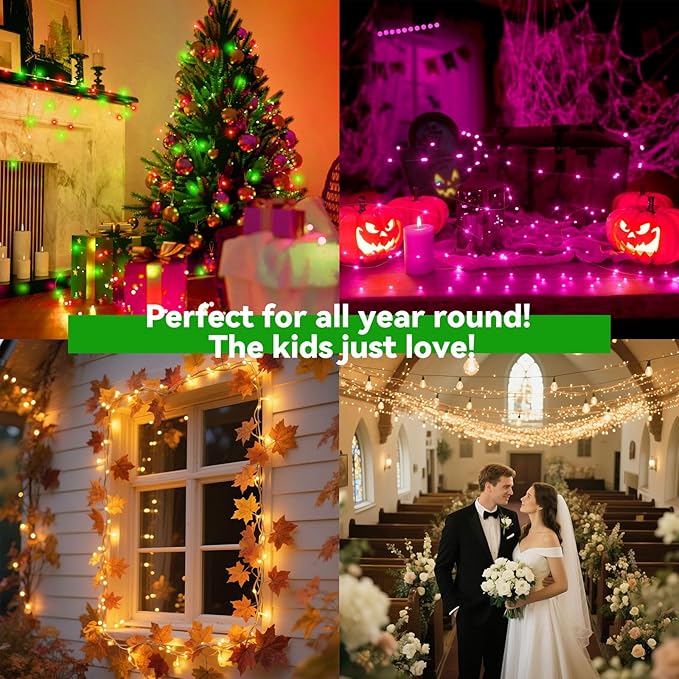 Lithome Led Christmas Fairy Lights Plug In, 200LED 66FT Color Changing Fairy Lights with Remote, 9 Modes Led Christmas Lights Indoor Dimmable, RGB Fairy String Lights Twinkle for Xmas Home Party Decor
