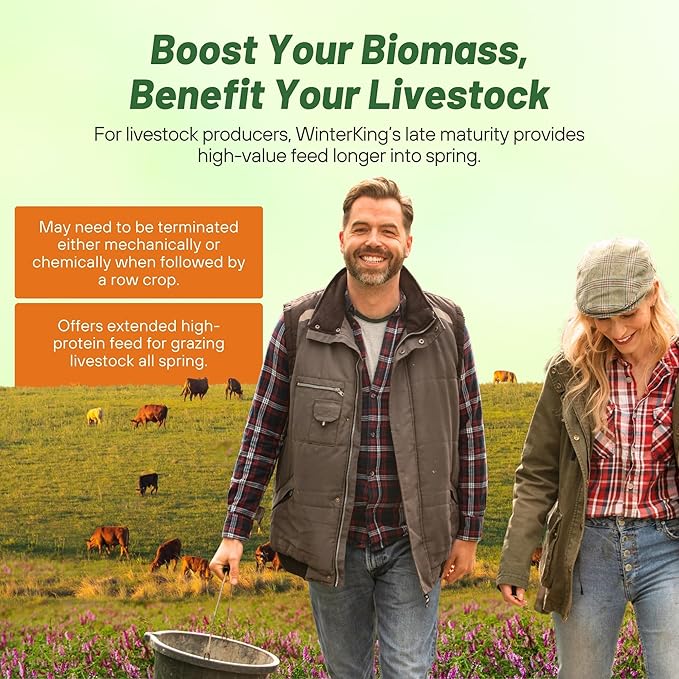 Outsidepride Hairy Vetch Cover Crop Seeds - 50 Lbs Cold Tolerant, Winter Hardy - Ideal for Soil Improvement, Green Pasture, Hay & Livestock Forage - Pollinator Friendly Garden Seeds, Ground Cover