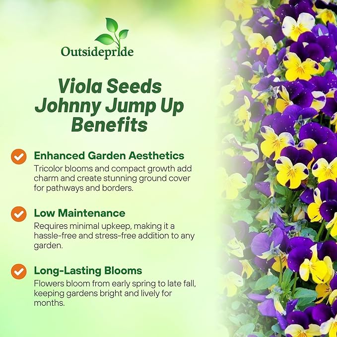 Outsidepride Johnny Jump Up Viola Wild Flower Seeds - 5000 Pcs Easy-to-Grow, Compact & Hardy Perennial Seeds for Planting Outdoors, Ideal for Pollinators, Garden Beds, Containers, & Hanging Baskets