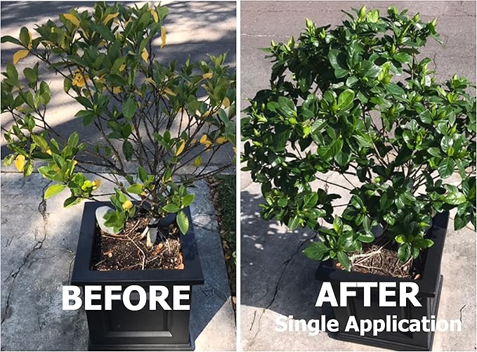 20-20-20 Plant Fertilizer by GS Plant Foods- All Purpose Water Soluble Plant Food with Kelp & Micronutrients (3 Pounds) - Suitable for All Plants, Turf, Indoor & Outdoor Plants