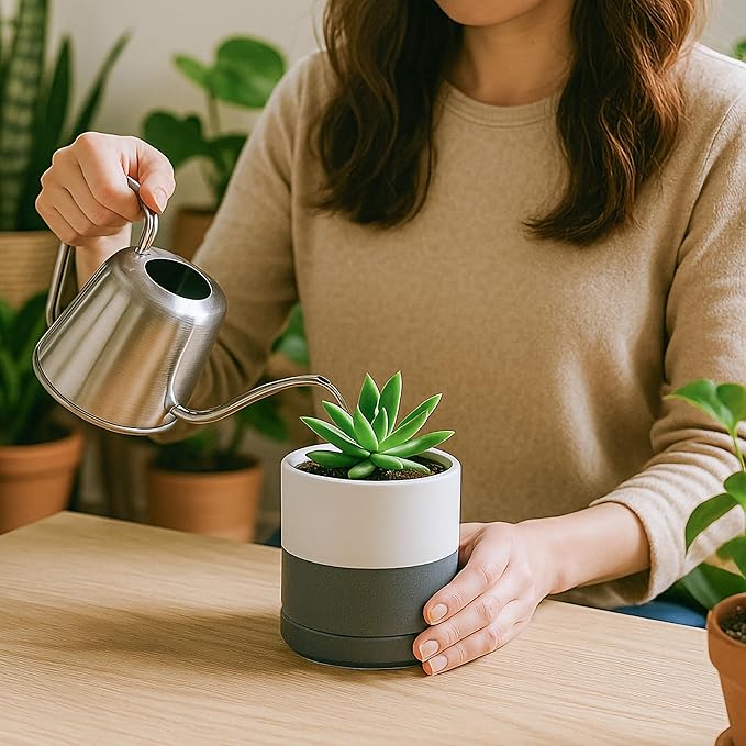 D'vine Dev Set of 3 Plants Pots, 3.5 Inch Ceramic Planter Pot for Plants with Drainage Hole and Saucer, White/Speckled Grey, 94-N-A-6