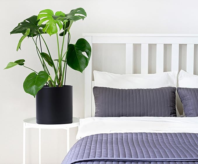 D'vine Dev 2 Pack 10 Inch Modern Plastic Plant Pots, Small Garden Planters for Plant with Drainage Holes and Saucers, Black Color, 74-Y-N-1