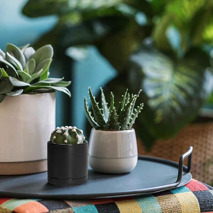 D'vine Dev Set of 3 Plants Pots, 3.5 Inch Ceramic Planter Pot for Plants with Drainage Hole and Saucer, Black, 94-N-A-2