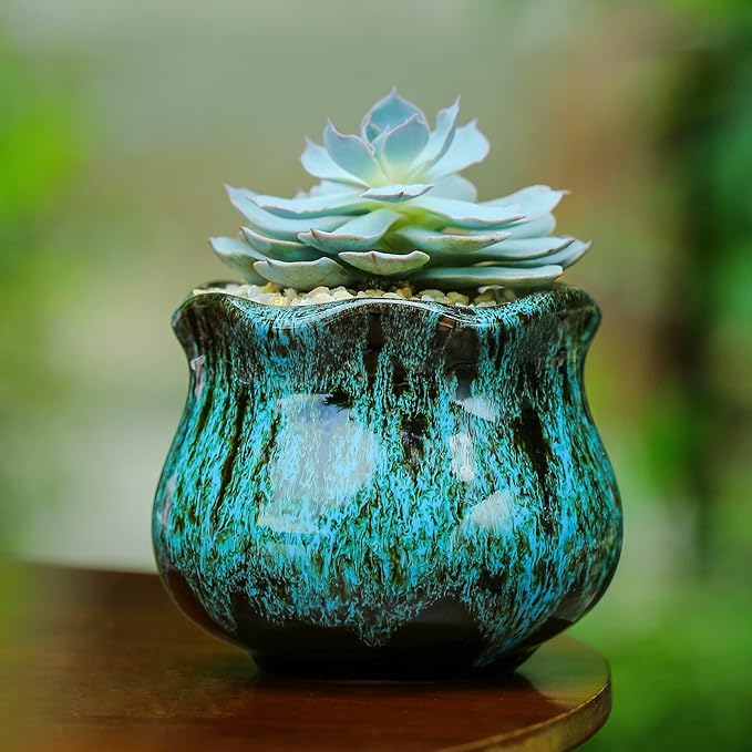 Cute Ceramic Succulent Planters, Garden Pots with Drainage and Attached Saucer, Set of 6 - Plants Not Included