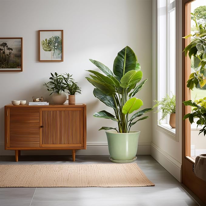 Ceramic Pots for Plants - 10 Inch Planter with Drainage Hole and Tray, Round Large Planter for Indoor Plant Outdoor, Modern Flower Pot, Garden Office Home Decor, Gift for Plant Lover, Green