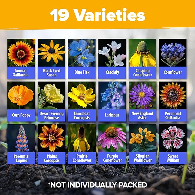 HOME GROWN 32,500+ Midwest Wildflower Seeds 2oz 𝗡𝗢𝗡-𝗚𝗠𝗢, 𝗨𝗦𝗔-𝗦𝗢𝗨𝗥𝗖𝗘𝗗 – 15 Varieties – Annual & Perennial Flower Seeds for Attracting Bees & Butterflies – Open Pollinated