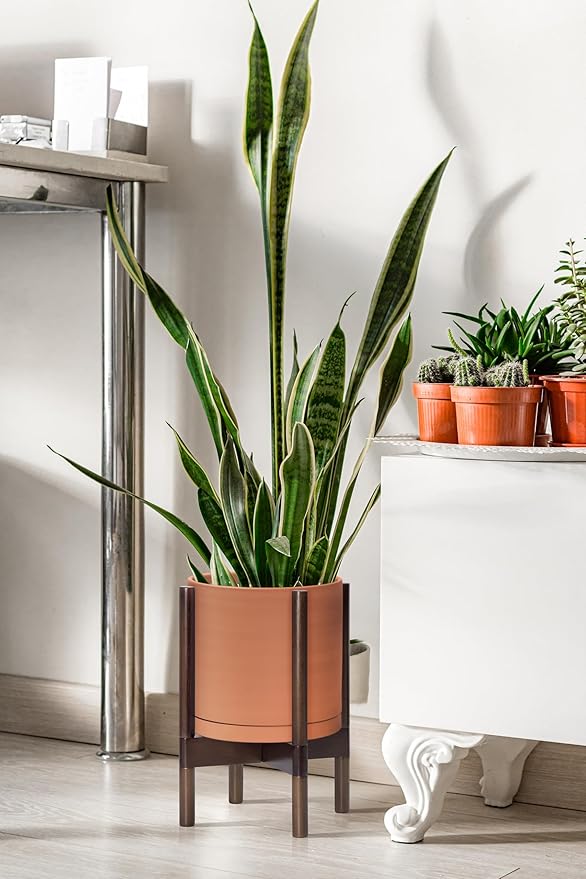 D'vine Dev Terracotta Planter with Walnut Color Stand - 10 Inch Modern Round Flower Pot with Wood Planter Holder, Terracotta, 55-B-X-5