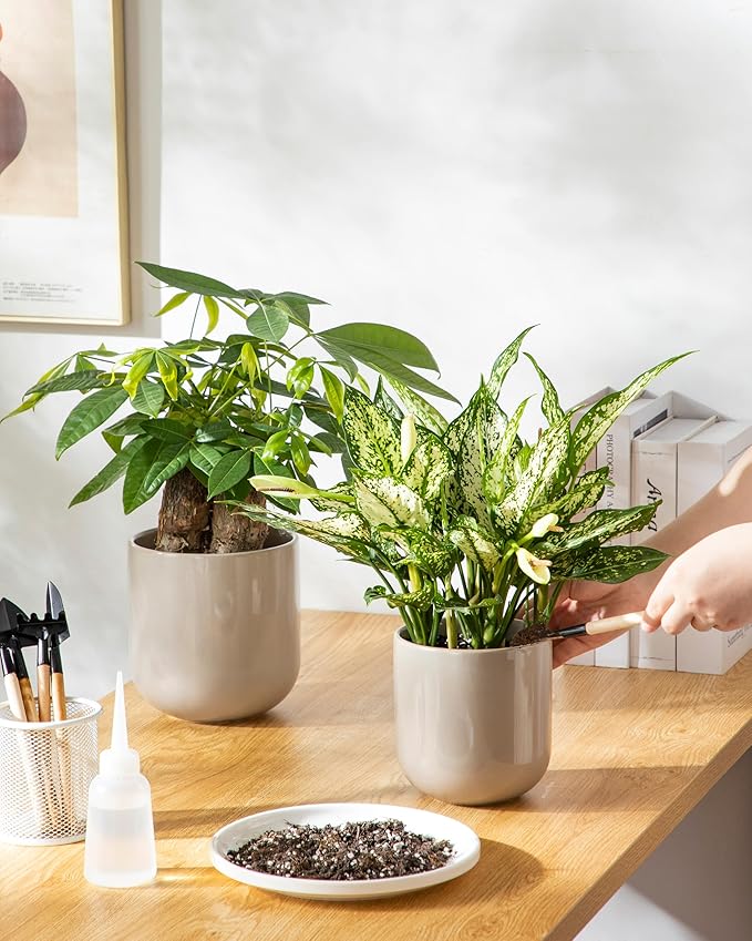 vancasso Ceramic Plant Pots, 4+5+6 inches, Set of 3, Planters with Drainage Hole, Flower Pots Planters Pots for Indoor Plants, Modern Indoor Decorative Garden Pot, Home Decor, Gray