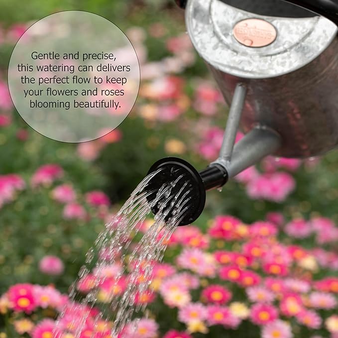 Gardenised 1 Gallon Metal Watering Can with Removable Long Spout & Sprinkler Head for Indoor & Outdoor Use Ideal for Garden Flowers Potted Plants Houseplants Modern Decorative Home Accessories, Silver