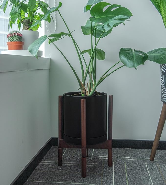 Phoenix Vine 10 Inch Plastic Plant Saucer Water Drip Tray, Heavy Sturdy Round Plant Drainage Tray for Indoors Outdoor, Matte Black, 21-TY-10B-1