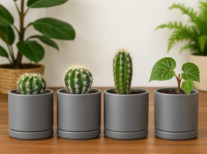 D'vine Dev Set of 4 Small Ceramic Plant Pots, 3.5 Inch Succulent Planter Pot for Plants with Drainage Hole and Saucer, Grey, 94-X-A-3