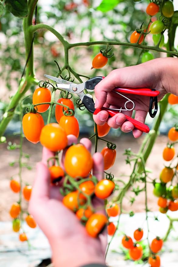 Felco F322 Pruning Snips – 9.84" Swiss-Made Garden Clippers with Curved Blade & Rounded Tip | Pruning Shears for Gardening | Garden Snips and Pruners with Carbon Steel Blade, Sap Groove