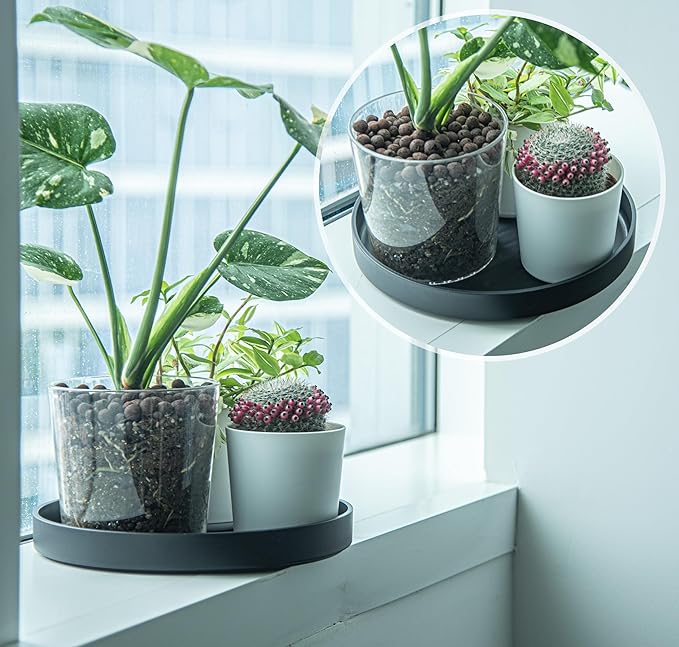 Phoenix Vine 12 Inch Plastic Plant Saucer Water Drip Tray, Heavy Sturdy Round Plant Drainage Tray for Indoors Outdoor, Set of 2, Matte Black, 21-TY-12B-2