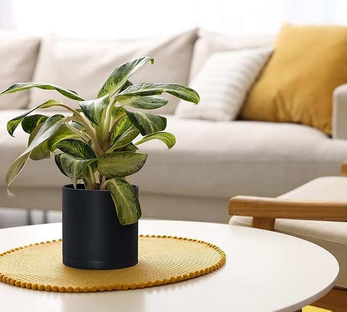 D'vine Dev 2 Pack 6 Inch Modern Plastic Plant Pots, Small Garden Planters for Plant with Drainage Holes and Saucers, Black Color, 74-Y-J-1