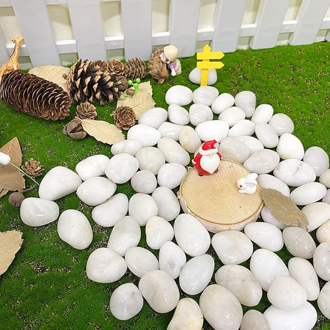 10 lbs White Pebbles for Indoor Plants, 0.8-1.2 Inch Small White River Rocks Stones for Planters, Vases, Fish Tank, Garden, Landscaping, Top Dressing and Bottem Drainage