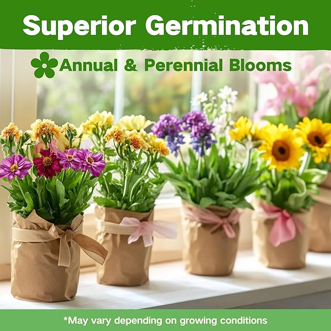 LUSH&DEW Cut Flower Seed Bank, Gift for Women Men, 32 Types Non-GMO Annual & Perennial Wildflower Seeds for Planting in Raised Garden Bed Greenhouse, Seed Storage Organizer, Zinnia Sunflower Zone 3-10