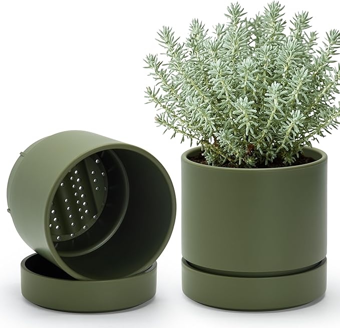 Phoenix Vine 6 Inch Planter Pot with Drainage Hole & Saucer, Deep Water Catch Tray, Straight Cylindrical Round Pot for Plants, Olive, Pack of 2, 23-F-S-2