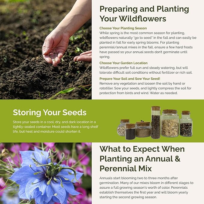 Eden Brothers Blue Ribbon Flower Mixed Seeds for Planting, 1/4 lb, 120,000+ Seeds with Blue Bell, Cornflower Blue, Chicory, Attracts Pollinators, Plant in Spring or Fall, Zones 3, 4, 5, 6, 7, 8, 9, 10