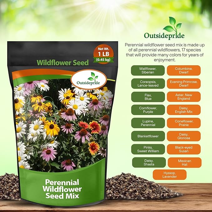 Outsidepride Perennial Wild Flower Seed Mix - 1 lb. Diverse, Long-Lasting Blooms, Easy to Grow Perennial Flower Seeds for All States, Perfect for Home Gardens, Landscapes, and Attracting Pollinators