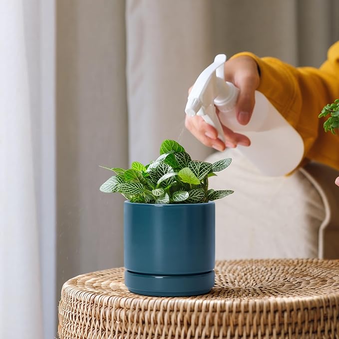 D'vine Dev 3 Inch & 4 Inch & 6 Inch, Set of 3 Round Ceramic Planter Pot with Drainage Hole and Saucer, Teal, 94-T-S-9