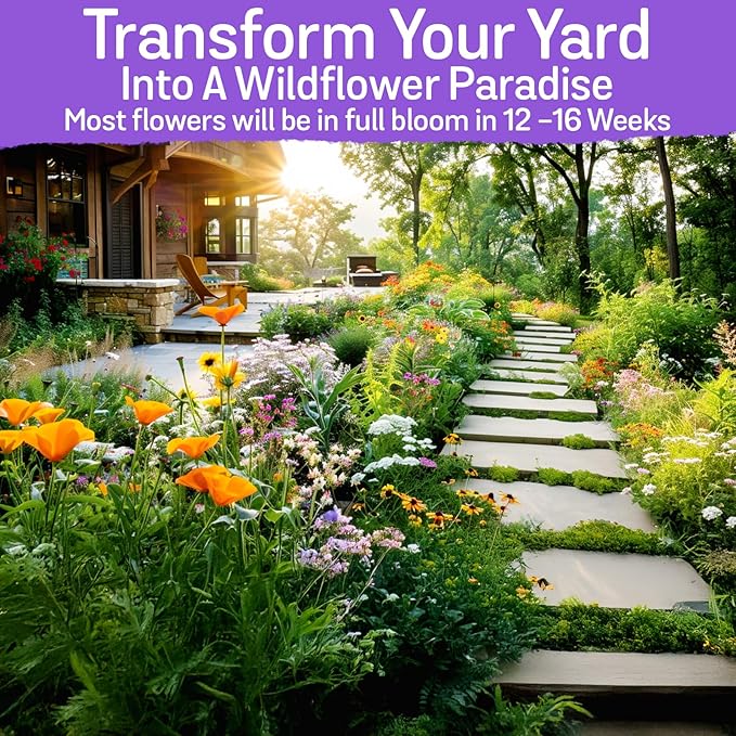 NatureZ Edge Wildflower Seeds, 1/2 lb, 340,000 Seed, 35 Variety Perennial & Annual Flower Seeds to Plant Outside, Bulk Wildflower Seed, Wild Flower, Semillas de Flores