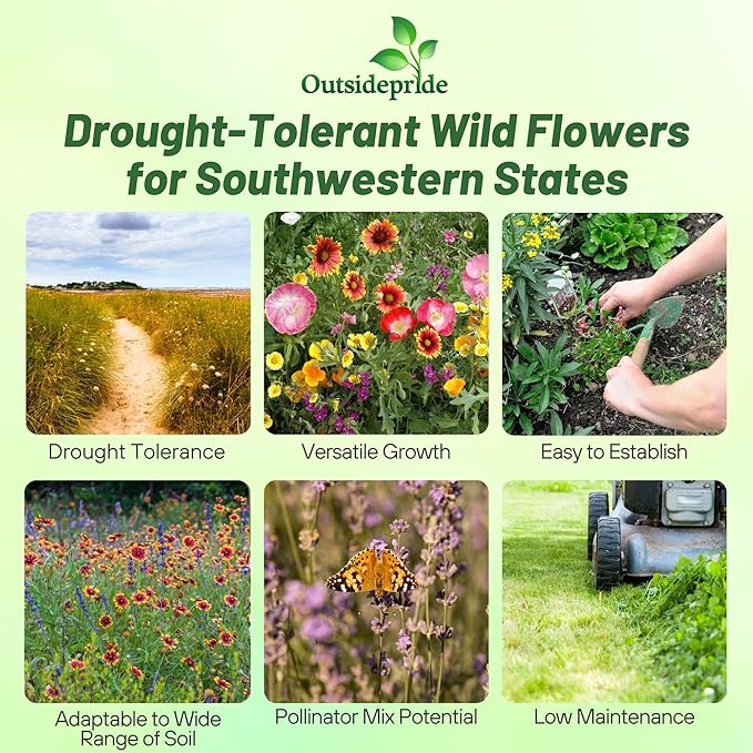 Outsidepride Southwest Wild Flower Seed Mix - 1/4 lb. Heat & Drought Tolerant Premium Blend of Annual & Perennial Wildflower Seeds for Planting on Outdoor Lawns & Gardens from Spring to Fall